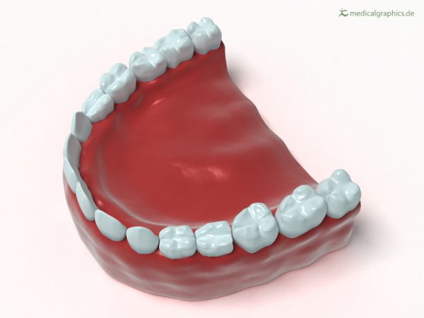 Free Illustration Full denture lower jaw